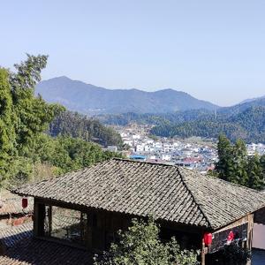 哈哈未又头像