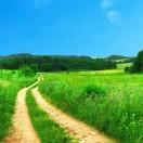 Rommel同学的个人资料头像