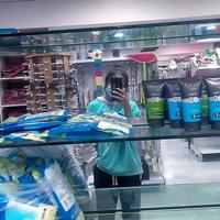 对准说晚安头像