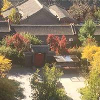 用户xing1024头像