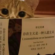 环己酮的个人资料头像