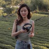 无厘头小柯基头像