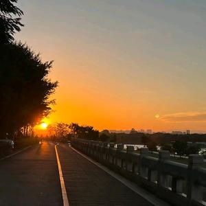 全球进口清关小G头像
