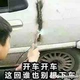 枫枫枫之色彩头像