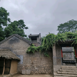 我的鱼世界头像