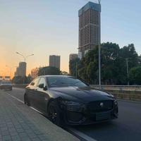 小唐的黑豹头像