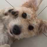 陆磊383头像