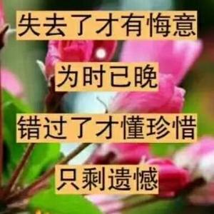 望星思亲头像