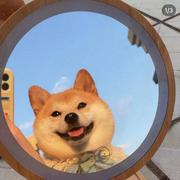 KOI的个人资料头像