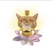 小箱哥的个人资料头像