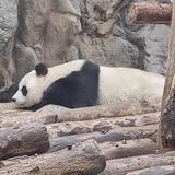 L甯1998头像