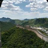 顺其自然7268009529554头像