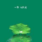 崂山小苏头像
