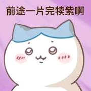曼波曼波的个人资料头像