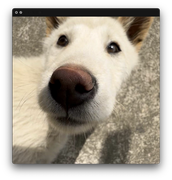 无用功的个人资料头像