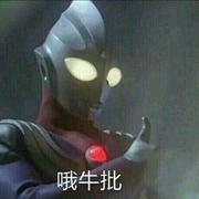 和歌子酒的个人资料头像