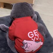 酥宝话不多的个人资料头像