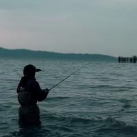 骑不快的晨头像