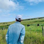 Enhao的个人资料头像