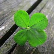 Starsssss的个人资料头像