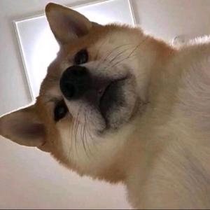 普通男孩6U9Z头像