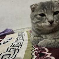 用户1903270389172头像