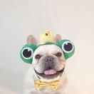 m在掘金75223的个人资料头像