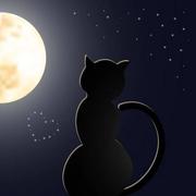 Ping917的个人资料头像