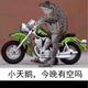 万事皆可磨头像