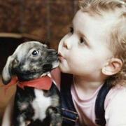 jinweizhiyuan的个人资料头像