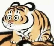 开心的笨小孩的个人资料头像