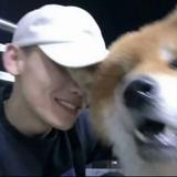 端庄优雅海洋rxI头像