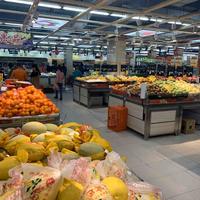 此生不买日本车头像