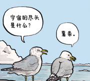 好运自然来的个人资料头像