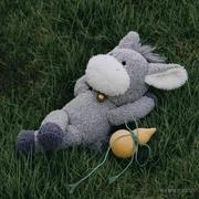 乔智恩的个人资料头像