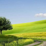 walking本尊的个人资料头像