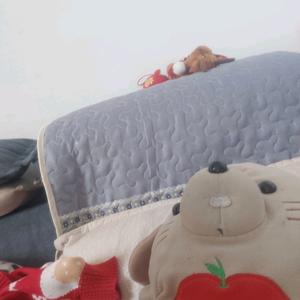 手机用户79786230949头像
