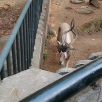 小名何兵送桶装水头像