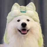 小金鱼1621头像