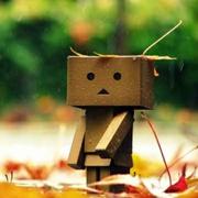 宗新博的个人资料头像