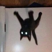 Eason267的个人资料头像