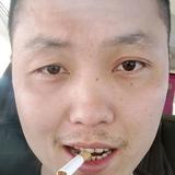 戒不掉的黄赌毒头像