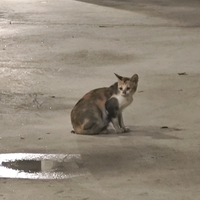 你们说我名字长？我名字哪里长了头像