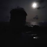 酒事故乡醇头像