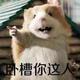 回忆无言孔 · 逸达车主·车龄2年头像