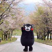 XD東仔663的个人资料头像