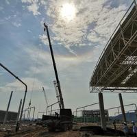 温暖的弦4775头像