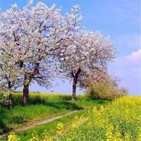 热情漂流瓶5sm头像