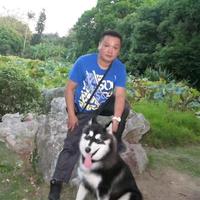 愤青的铲屎官头像