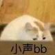 狗子967头像